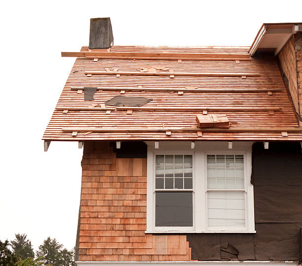 Affordable Siding Repair and Maintenance Services in Rainbow Park, FL